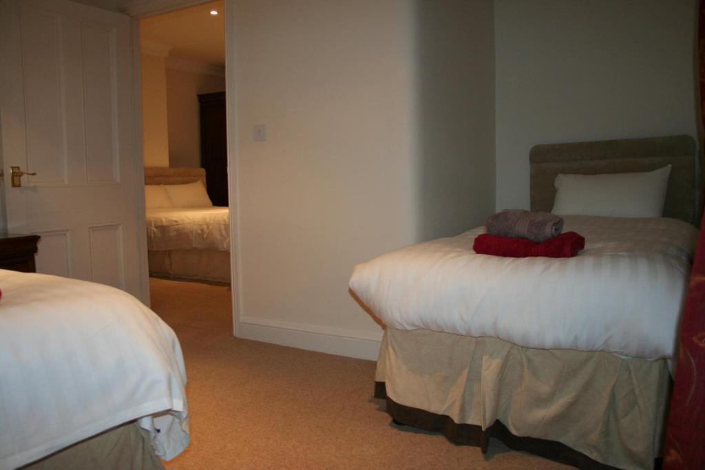 Hotel The Trewythen Llanidloes Zewnętrze zdjęcie